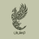 شرایط استفاده از سرویس