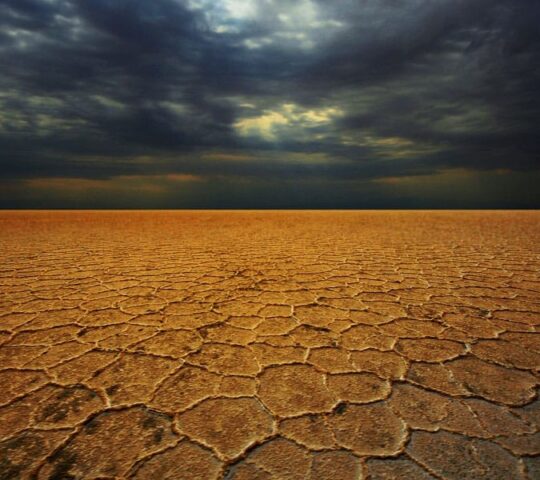 پارک ملی کویر